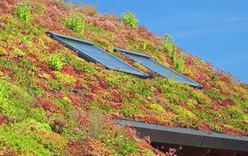 Moorstock living roof systems