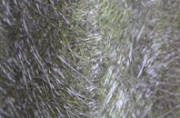 Moorstock fibreglass roof work